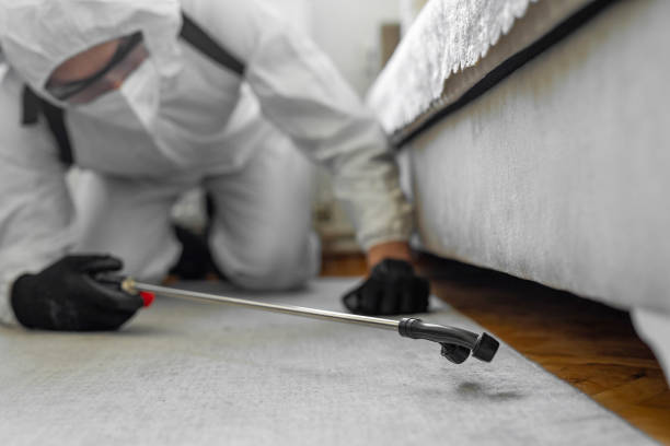 Professional Termite Control technician working in Wadesboro, NC