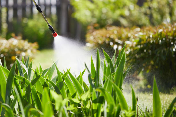 24/7 Emergency Termite Control experts in Wadesboro, NC