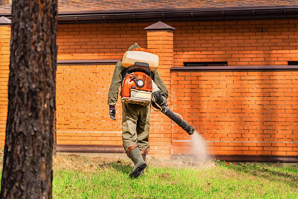 Trusted Ant Control service in Wadesboro, NC - Nex Pest Control